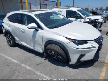  Salvage Lexus NX