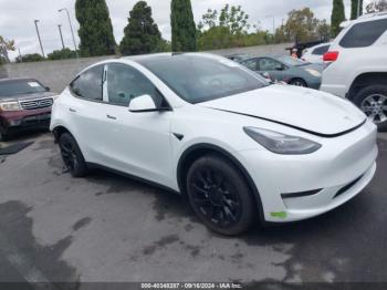  Salvage Tesla Model Y