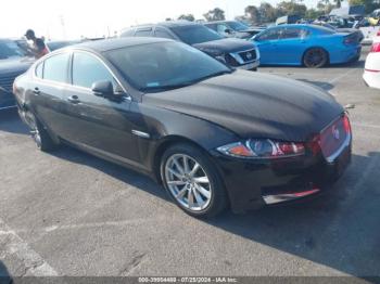  Salvage Jaguar XF