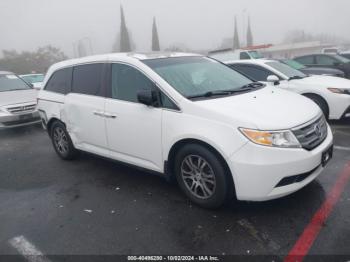  Salvage Honda Odyssey