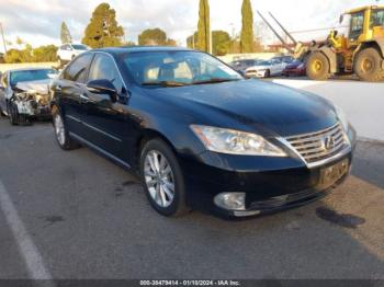  Salvage Lexus Es