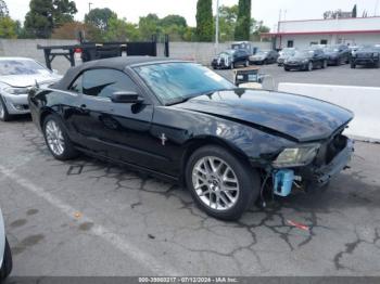  Salvage Ford Mustang