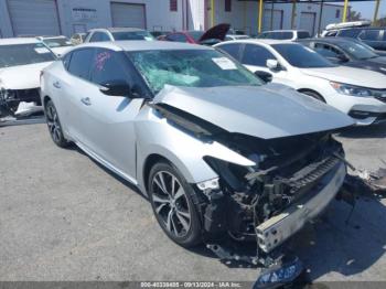  Salvage Nissan Maxima