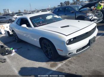  Salvage Dodge Challenger