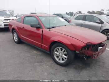  Salvage Ford Mustang