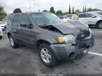  Salvage Ford Escape