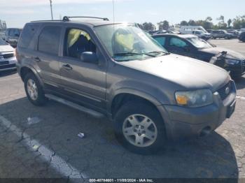  Salvage Ford Escape