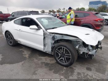  Salvage Ford Mustang