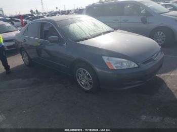  Salvage Honda Accord