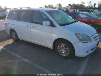  Salvage Honda Odyssey