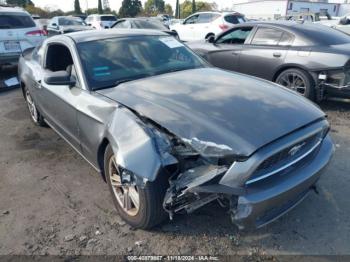  Salvage Ford Mustang