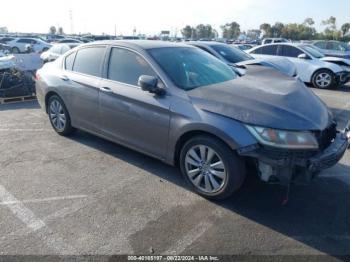  Salvage Honda Accord