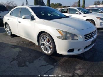  Salvage Nissan Maxima