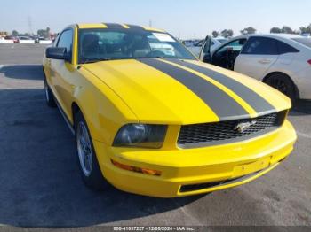  Salvage Ford Mustang