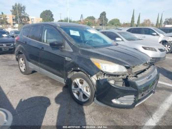  Salvage Ford Escape