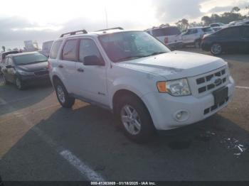  Salvage Ford Escape