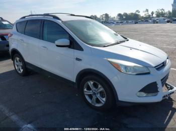  Salvage Ford Escape