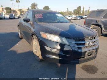  Salvage Honda Crosstour