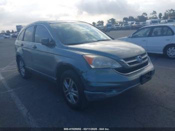  Salvage Honda CR-V