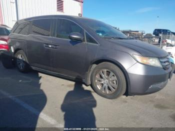  Salvage Honda Odyssey