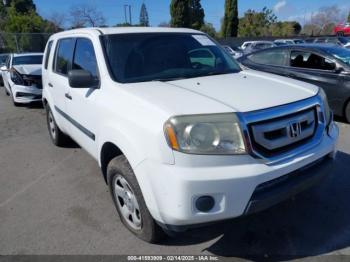  Salvage Honda Pilot