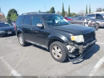  Salvage Ford Escape