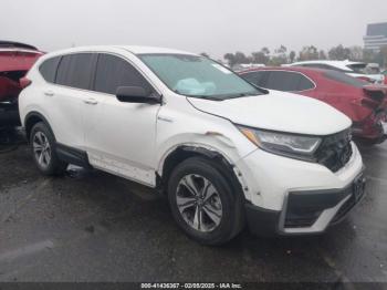  Salvage Honda CR-V