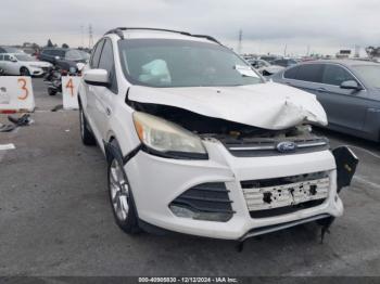  Salvage Ford Escape