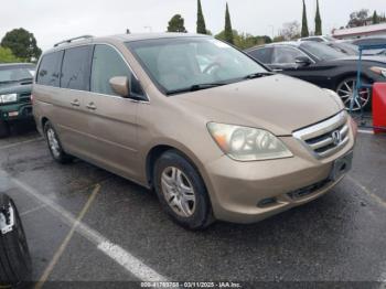  Salvage Honda Odyssey