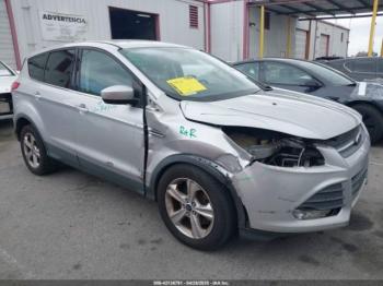  Salvage Ford Escape