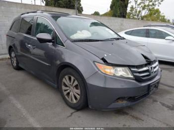  Salvage Honda Odyssey