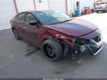  Salvage Nissan Maxima
