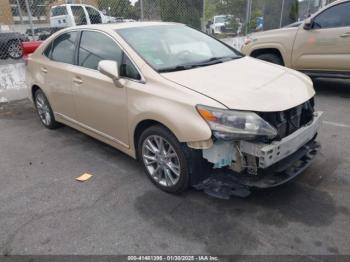  Salvage Lexus HS 250h