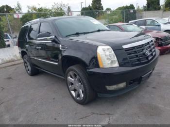  Salvage Cadillac Escalade