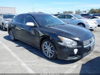  Salvage Nissan Maxima