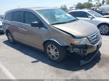  Salvage Honda Odyssey