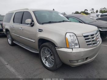  Salvage Cadillac Escalade