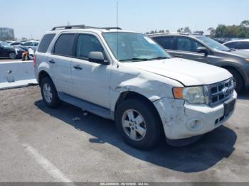  Salvage Ford Escape