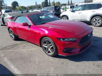  Salvage Ford Mustang