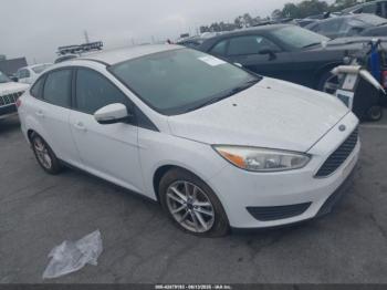  Salvage Ford Focus