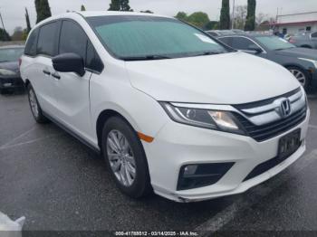  Salvage Honda Odyssey