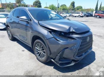  Salvage Lexus NX