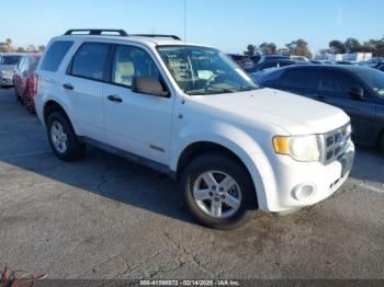  Salvage Ford Escape