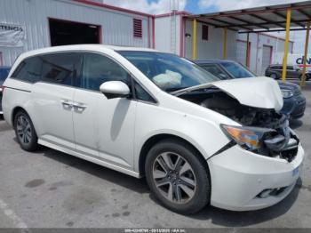  Salvage Honda Odyssey