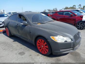  Salvage Jaguar XF