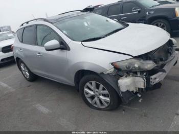  Salvage Nissan Murano