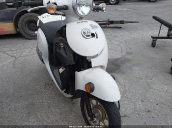 Salvage Honda Ncw50