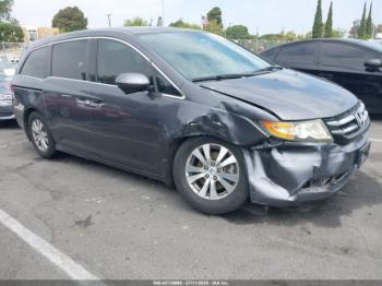  Salvage Honda Odyssey
