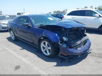  Salvage Ford Mustang
