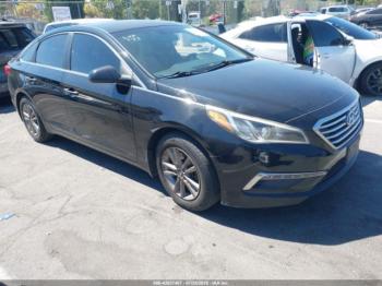  Salvage Hyundai SONATA